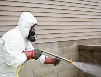 # 1 Trused Local Pest Control In Somerton