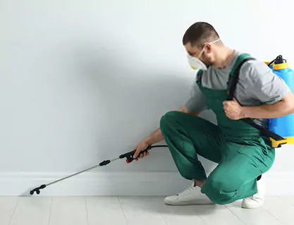 Pest Control Somerton Services