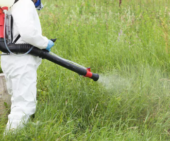 Pest Inspection Kew
